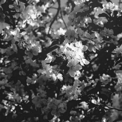 Inner Suffering (UKR) : Are You Unhappy, My Dear?